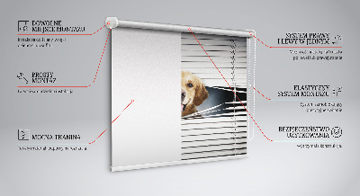 Modern roller blind Golden Dog