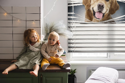 Modern roller blind Golden Dog