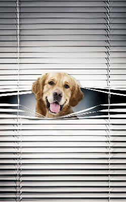 Modern roller blind Golden Dog