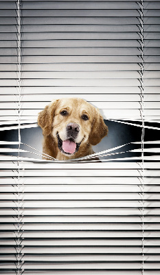Modern roller blind Golden Dog