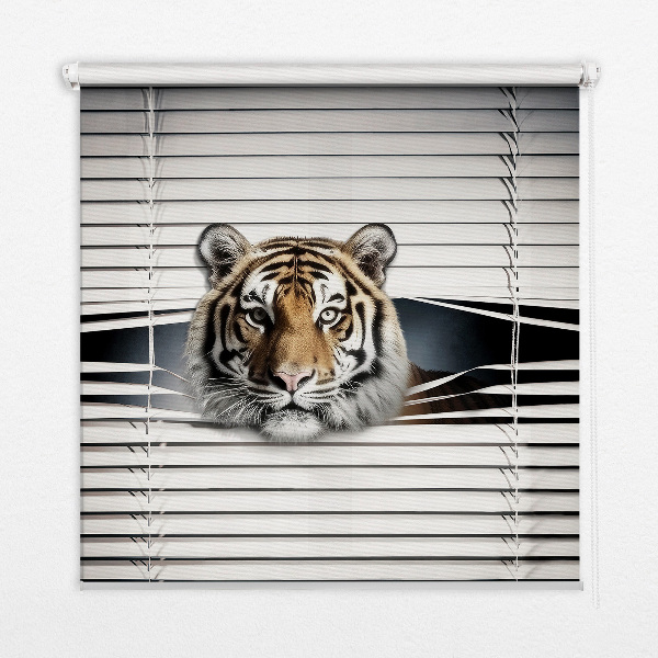 Roller blind for large window Tiger