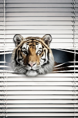 Roller blind for large window Tiger