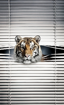Roller blind for large window Tiger