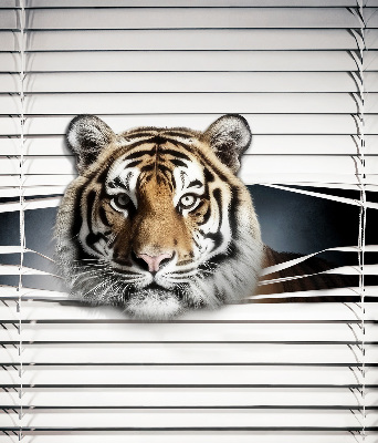 Roller blind for large window Tiger