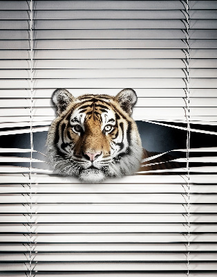 Roller blind for large window Tiger