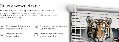 Roller blind for large window Tiger