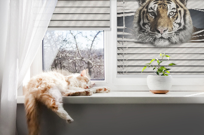Roller blind for large window Tiger