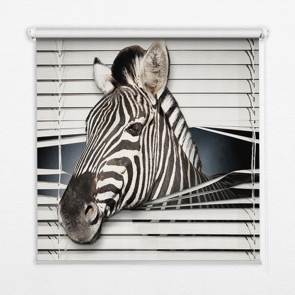 Fabric roller blind Ribs