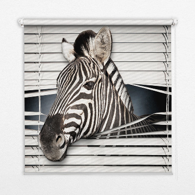 Fabric roller blind Ribs
