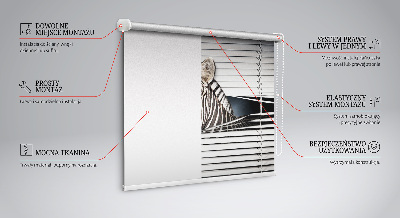 Fabric roller blind Ribs