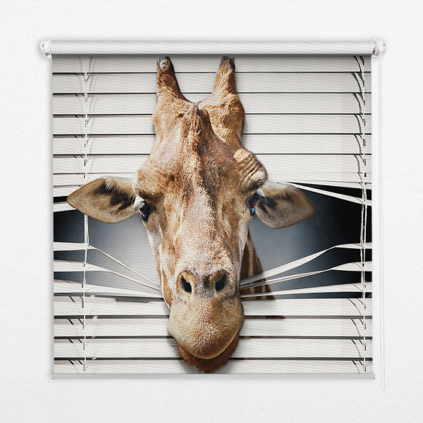 Modern roller blind Giraffe