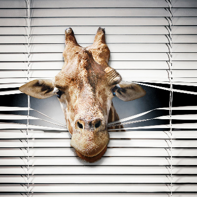Modern roller blind Giraffe