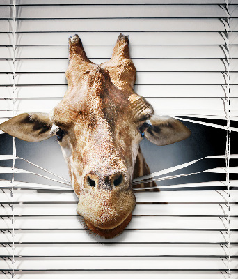 Modern roller blind Giraffe