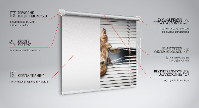 Modern roller blind Giraffe