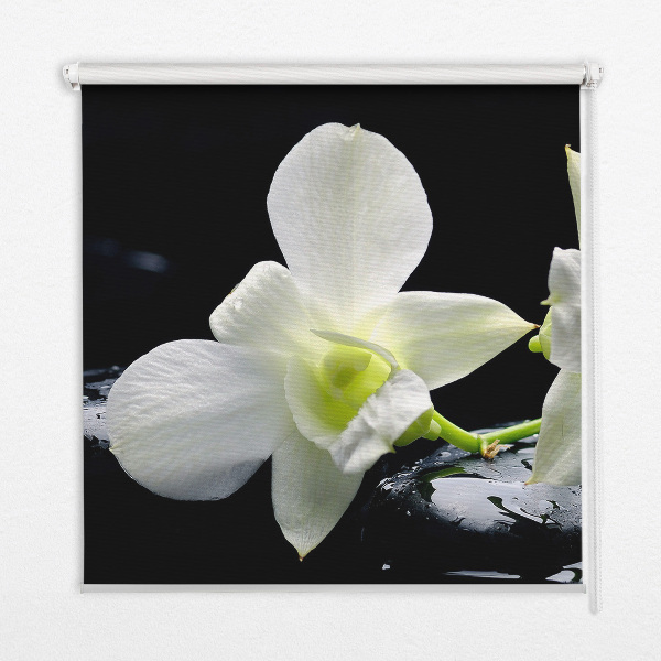 Blackout roller blind for window Orchids and elegance