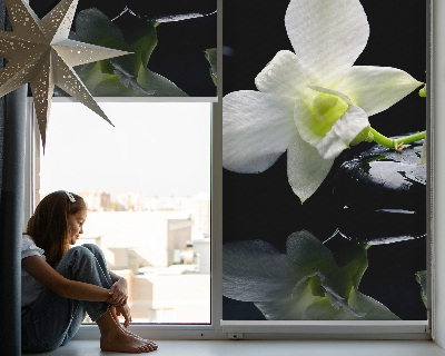Blackout roller blind for window Orchids and elegance