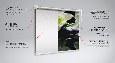 Blackout roller blind for window Orchids and elegance