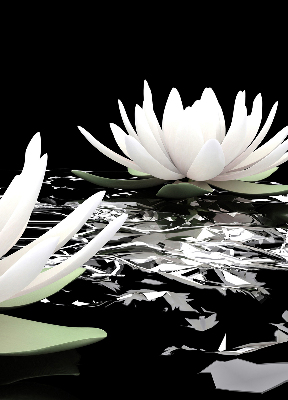 Fabric roller blind for window Water lilies on the surface