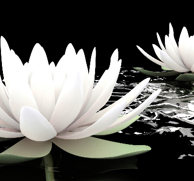 Fabric roller blind for window Water lilies on the surface