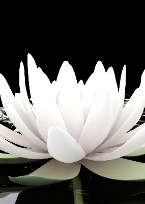 Fabric roller blind for window Water lilies on the surface