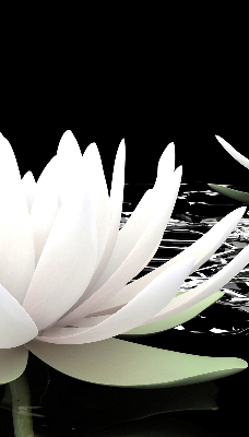 Fabric roller blind for window Water lilies on the surface