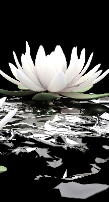 Fabric roller blind for window Water lilies on the surface