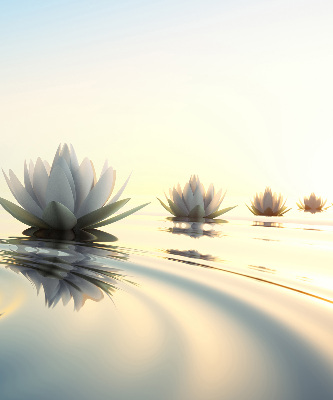 Blackout roller blind Water lilies