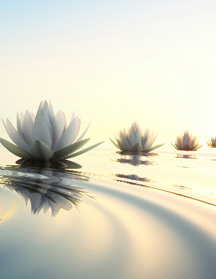 Blackout roller blind Water lilies