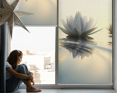 Blackout roller blind Water lilies