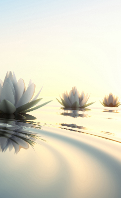 Blackout roller blind Water lilies