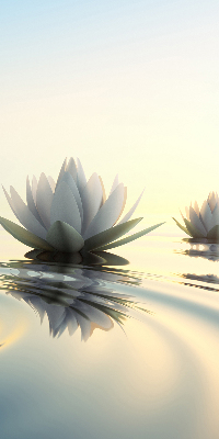 Blackout roller blind Water lilies