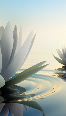 Blackout roller blind Water lilies