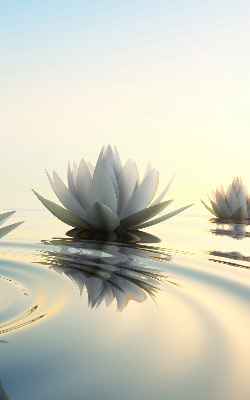 Blackout roller blind Water lilies