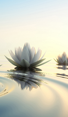Blackout roller blind Water lilies