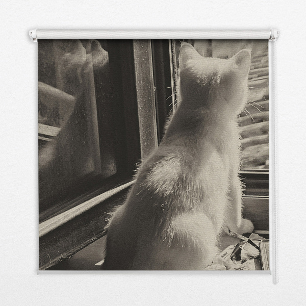 Blackout roller blind Cats in the window