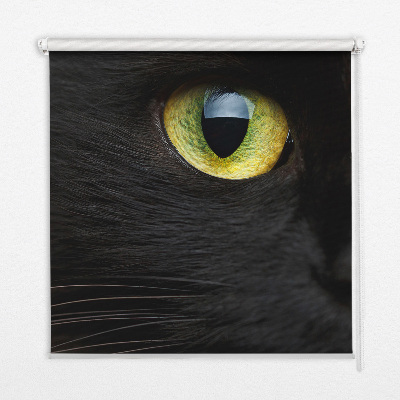 Blackout roller blind for window Cat eyes