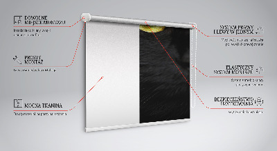 Blackout roller blind for window Cat eyes