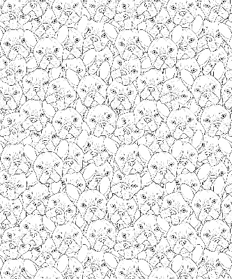 Fabric roller blind for window Drawn dogs