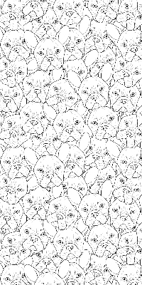 Fabric roller blind for window Drawn dogs
