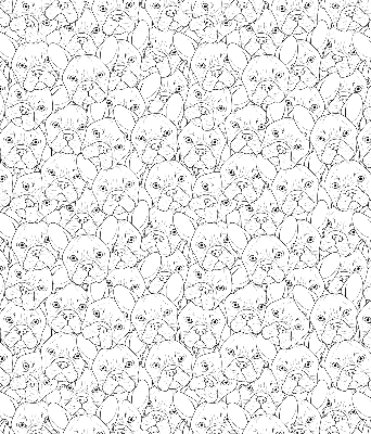 Fabric roller blind for window Drawn dogs