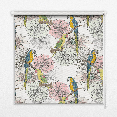 Blackout roller blind Parrots on a branch