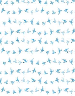 Blackout roller blind for window Blue birds