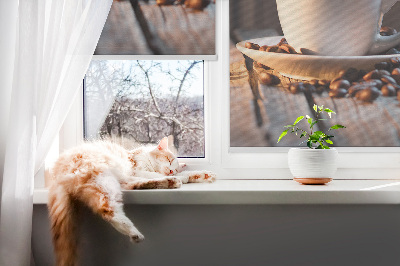 Blackout roller blind for window A cup of coffee