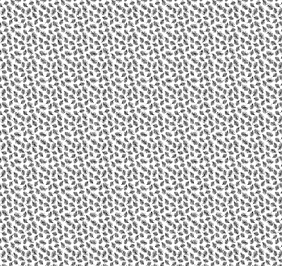 Fabric roller blind for window Feathers