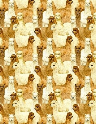 Blackout roller blind for window A herd of alpacas