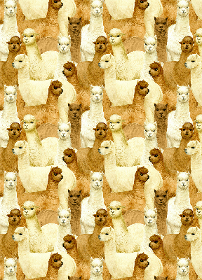 Blackout roller blind for window A herd of alpacas