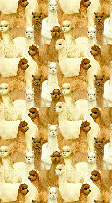 Blackout roller blind for window A herd of alpacas