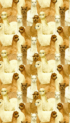 Blackout roller blind for window A herd of alpacas