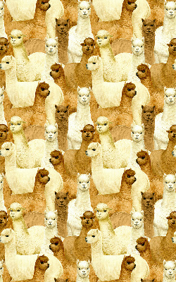 Blackout roller blind for window A herd of alpacas