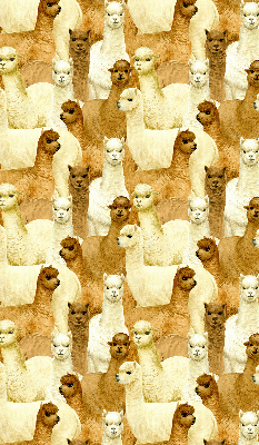 Blackout roller blind for window A herd of alpacas